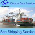 Sea Freight Belgium From China To San Pedro Congo